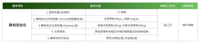 1778742338238986chvE.jpg 酵母双杂.jpg
