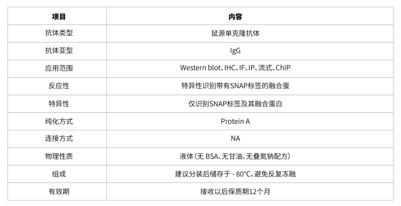 03.anti - SNAP Tag Mouse  mAb-44.png