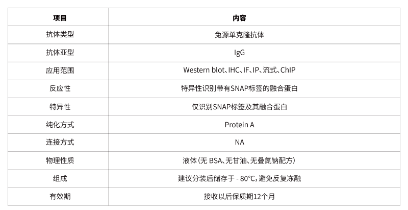 04.anti - SNAP Tag Rabbit mAb-45.png