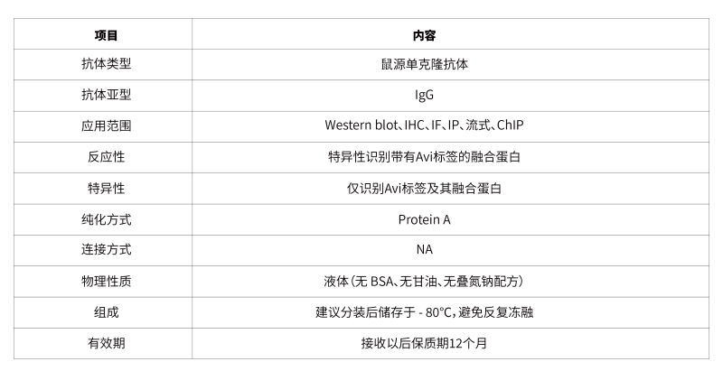05.Avi tag Mouse mAb-46.png