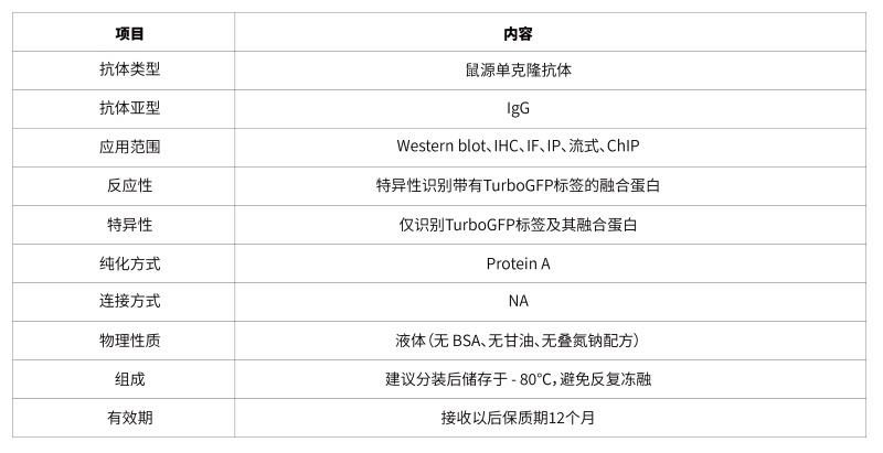 09.TurboGFP抗体 TurboGFP Mouse mAb-48.png