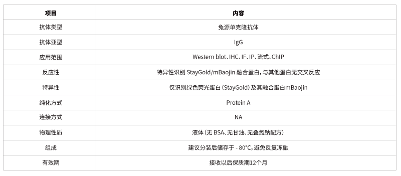 17.StayGold mBaojin Rabbit mAb-55.png