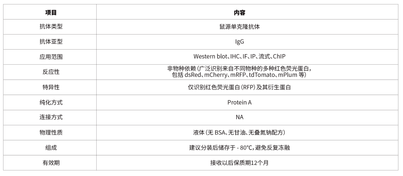 18.RFP Mouse mAb-55.png