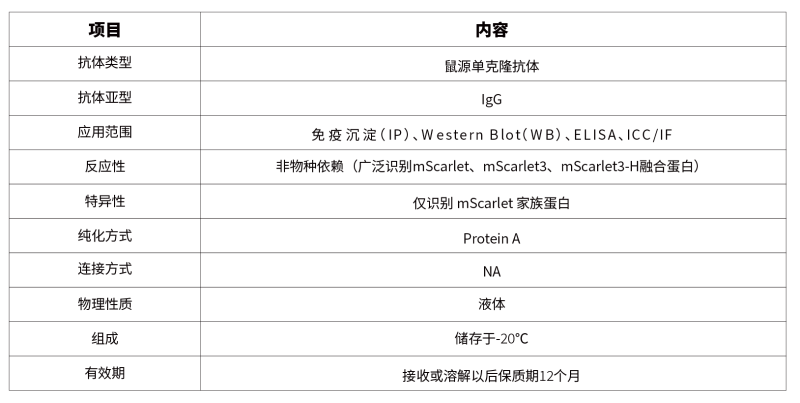 17791563738093649r2w.png 22.anti - mScarlet3-H Mouse mAb-02.png