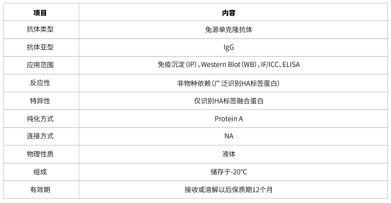 1779169355187705Vnhg.png 36.Rabbit anti HA -Tag Monoclonal Antibody-67.png