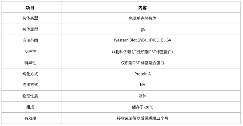 1779171777518220jGWA.png 40.Rabbit anti GST-Tag Monoclonal Antibody-67.png
