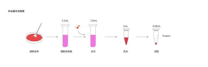 1779173156665612GABf.jpg Reverse-ChIP试剂盒-41.jpg