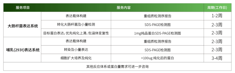 1779248521880085gpkj.png 纯化表达.png