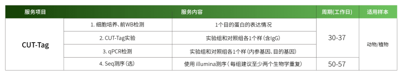 1779248977432537uZHD.png CUT-TAG.png