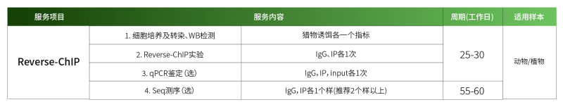 1779248991172455b4Uh.png reverse-ChIP.png
